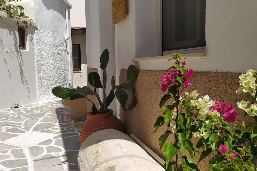 Naxion Esti - Διαμονή στην Παλιά Χώρα της Νάξου Βίλα Naxos City Εξωτερικό φωτογραφία
