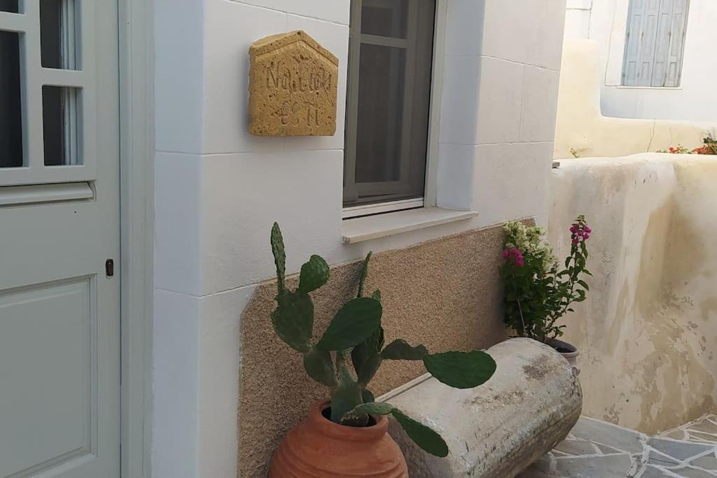 Naxion Esti - Διαμονή στην Παλιά Χώρα της Νάξου Βίλα Naxos City Εξωτερικό φωτογραφία